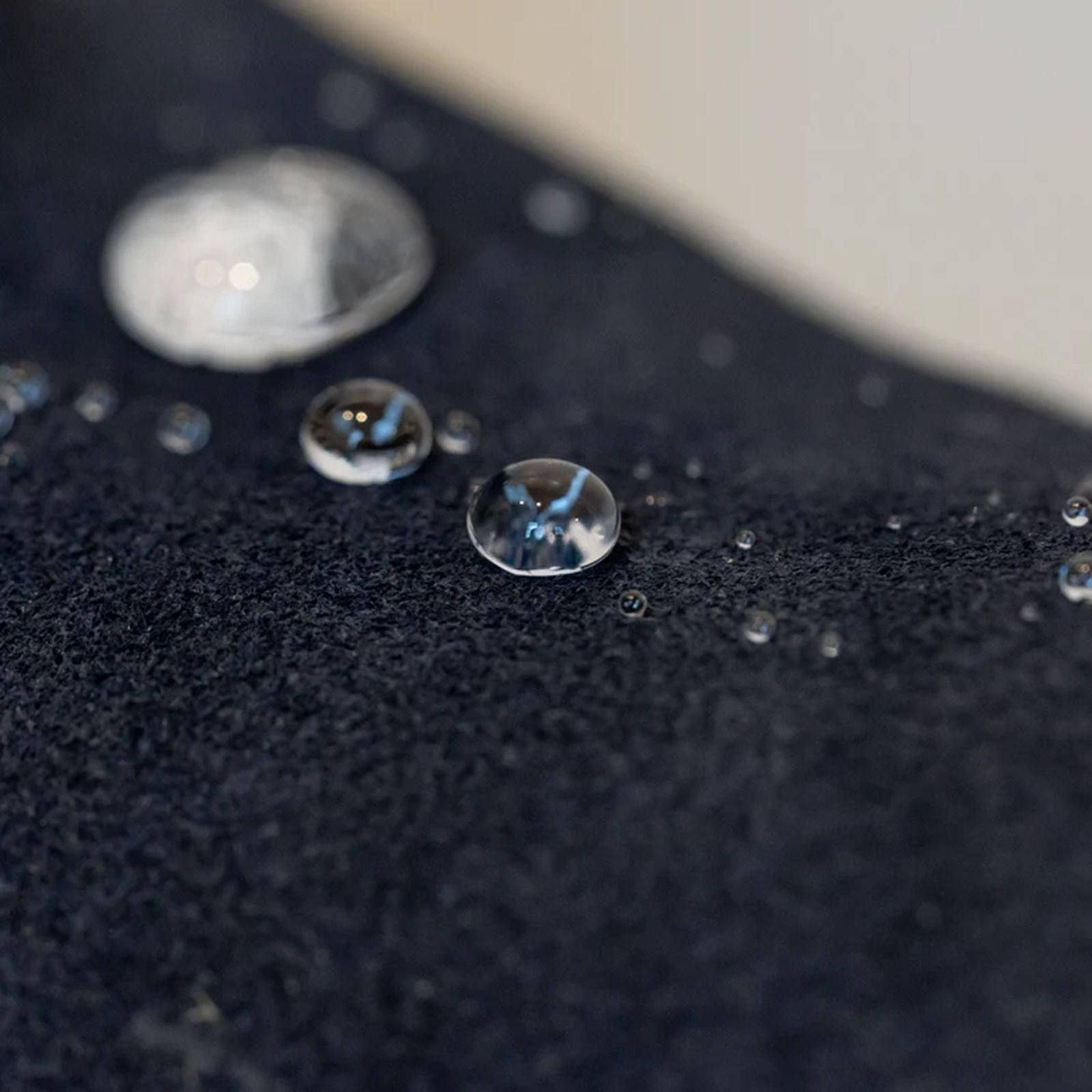 Prosheld Guardian Spray 100ML (Pack of 2)